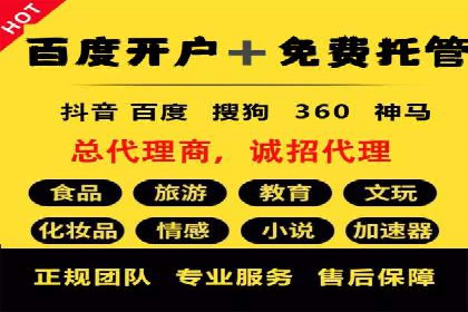百度竞价包年服务：某行业领导品牌的成功故事